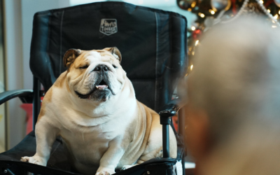 Photo of Baby Dog at Governor Justice's Rural Hospital Grant Award Presentation