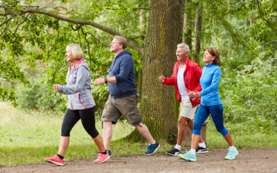 A group of four men and women walking on a path with trees in the background